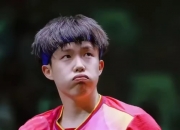 开云体育平台APP-法国队翻盘中国队，王皓关键制胜