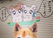 开云体育中国-钢铁与火焰，马刺封锁凯尔特人与米切尔的硬仗艺术