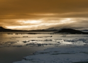 开云体育APP下载-当范戴克扛起拜仁，一场跨越联赛的冠军意志对决