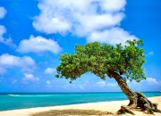 开云体育在线-双线战场的王者对话，从CBA碾压到奥运接管