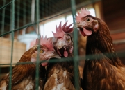 开云体育app-浓眉跨界斩42+17制霸禁区，山西队下半场狂飙逆转太阳