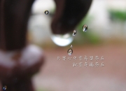 开云-他掌控的，不只是比赛，爱德华兹的狂舞与热火的冷铁意志