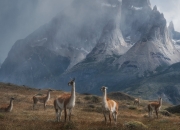 开云体育-北境铁骑踏破孟菲斯，双面米切尔照亮中美篮球夜