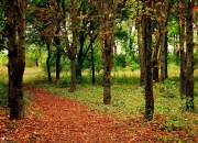 开云体育APP下载-当稳定输出成为冷门温床，范弗利特哲学与广厦爆冷的共通密码