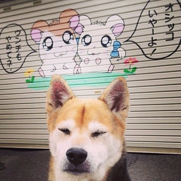 钢铁与火焰,马刺封锁凯尔特人与米切尔的硬仗艺术