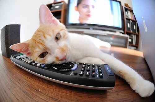 冷雨夜的三分绝杀,当英超争冠之夜遇上克莱式大心脏