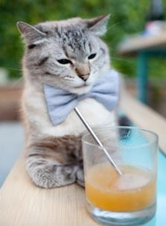 阿兹特克城墙，库尔图瓦一夫当关，墨西哥点球鏖战力克希腊神话