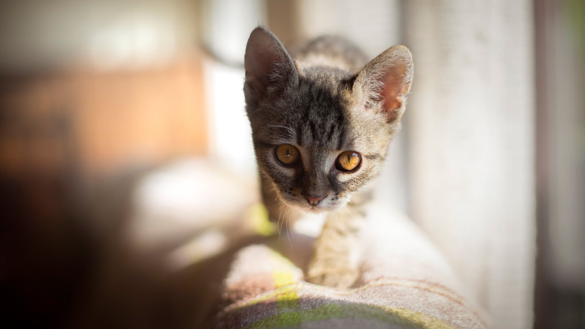 封喉三分！快船双子星光环下，哈登为何仍是致命杀手？