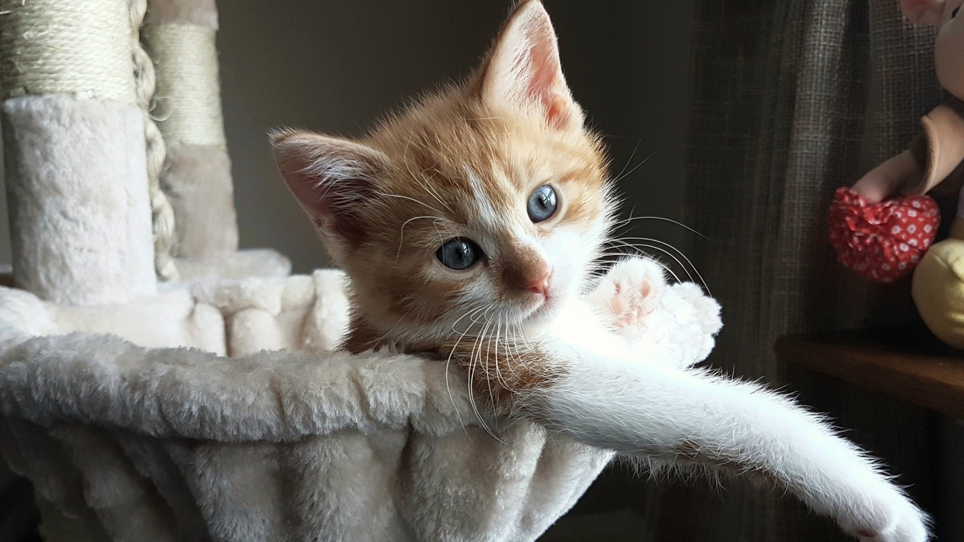 当摩洛哥狂想曲遇见巴拉圭铆钉，久保建英在画布上点燃一片海