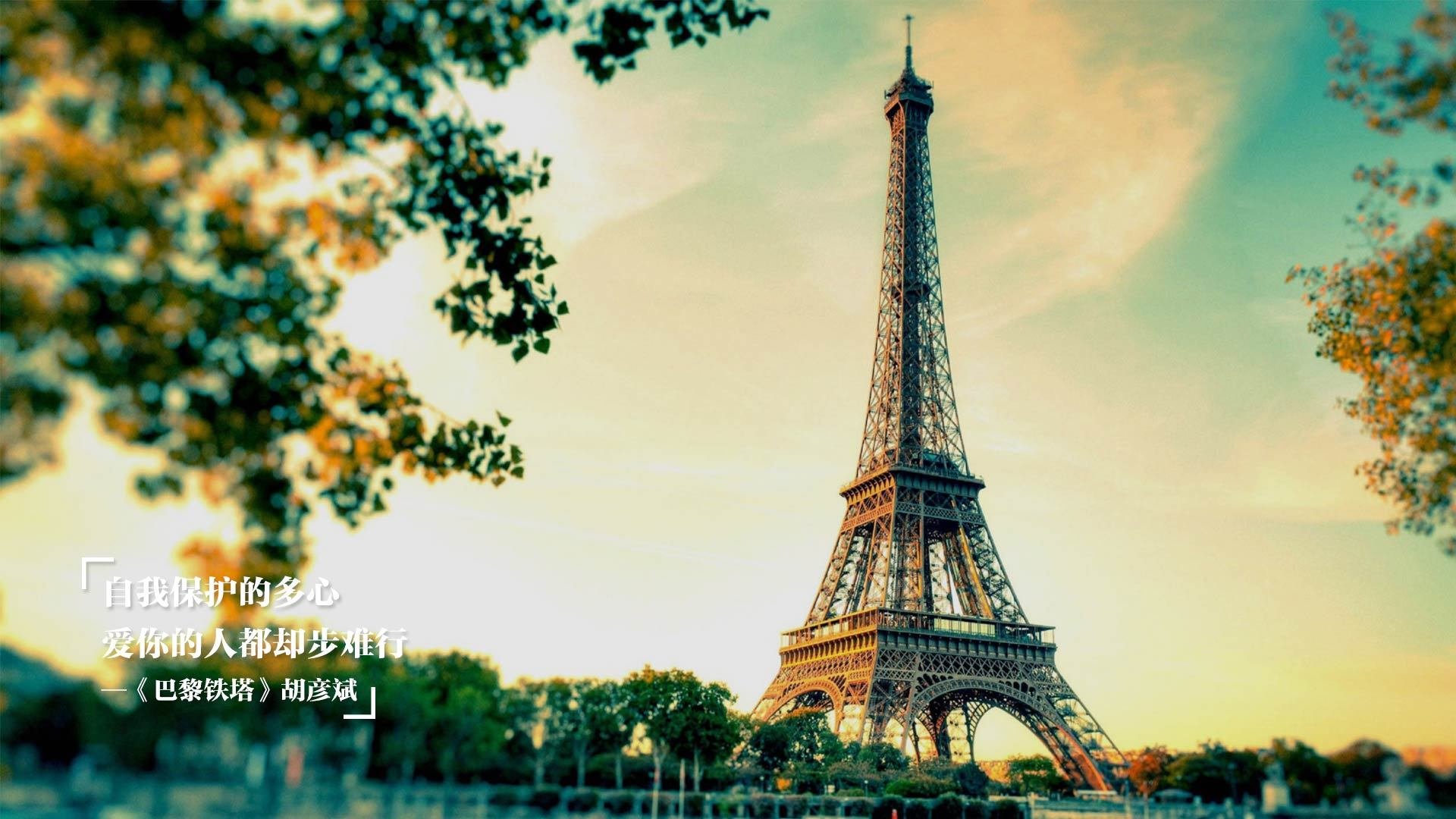 末节之王!小贾伦刷新纪录之夜,他是如何让圣城忘记文班亚马的?