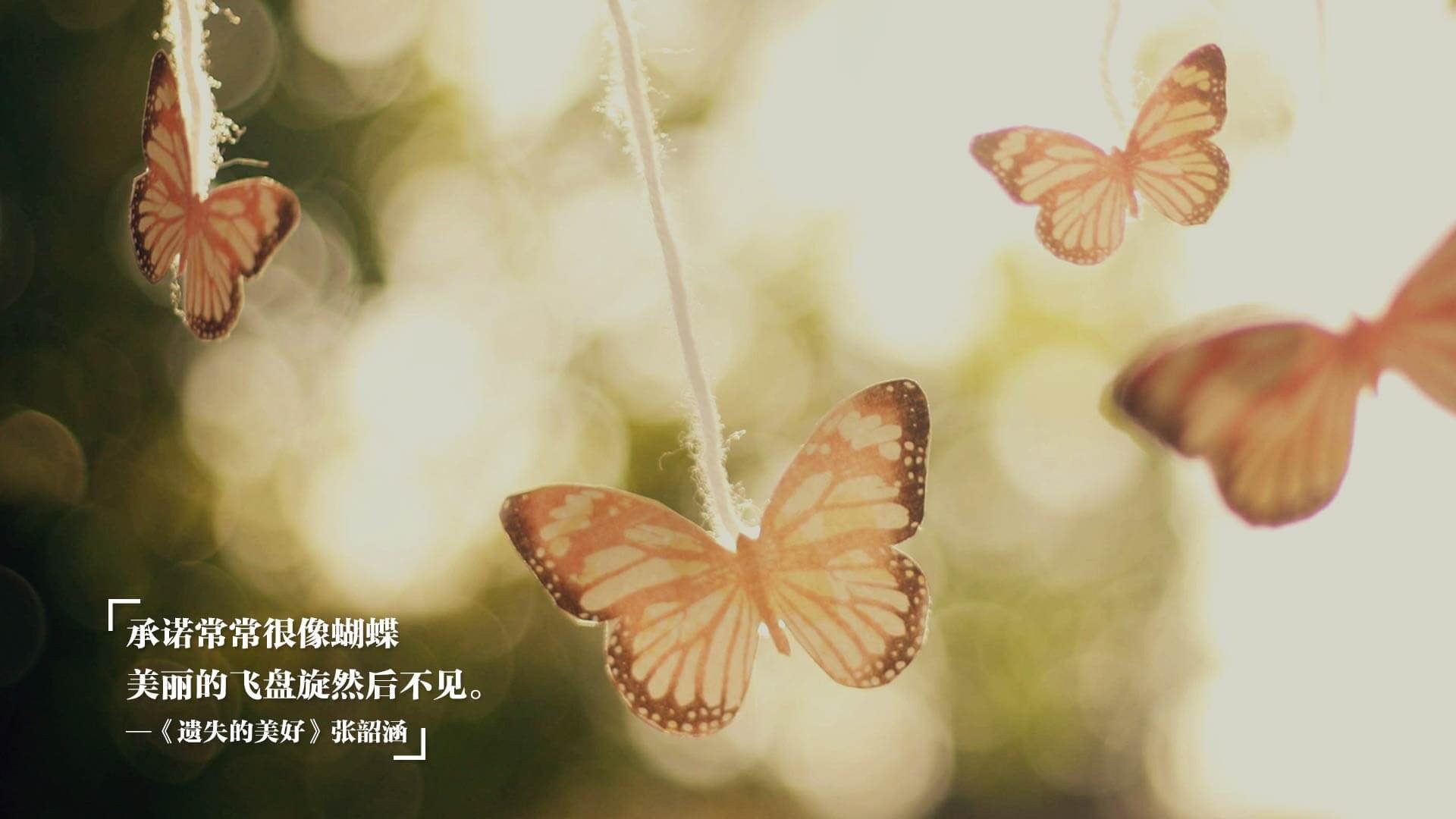 当东方快打遇见西方高塔,切特·霍姆格伦在跨洋篮球对话中定义未来