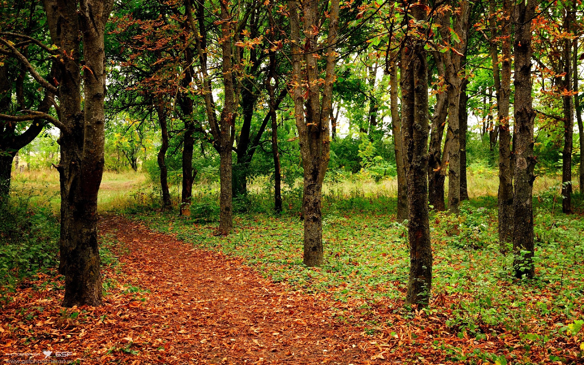 当稳定输出成为冷门温床,范弗利特哲学与广厦爆冷的共通密码