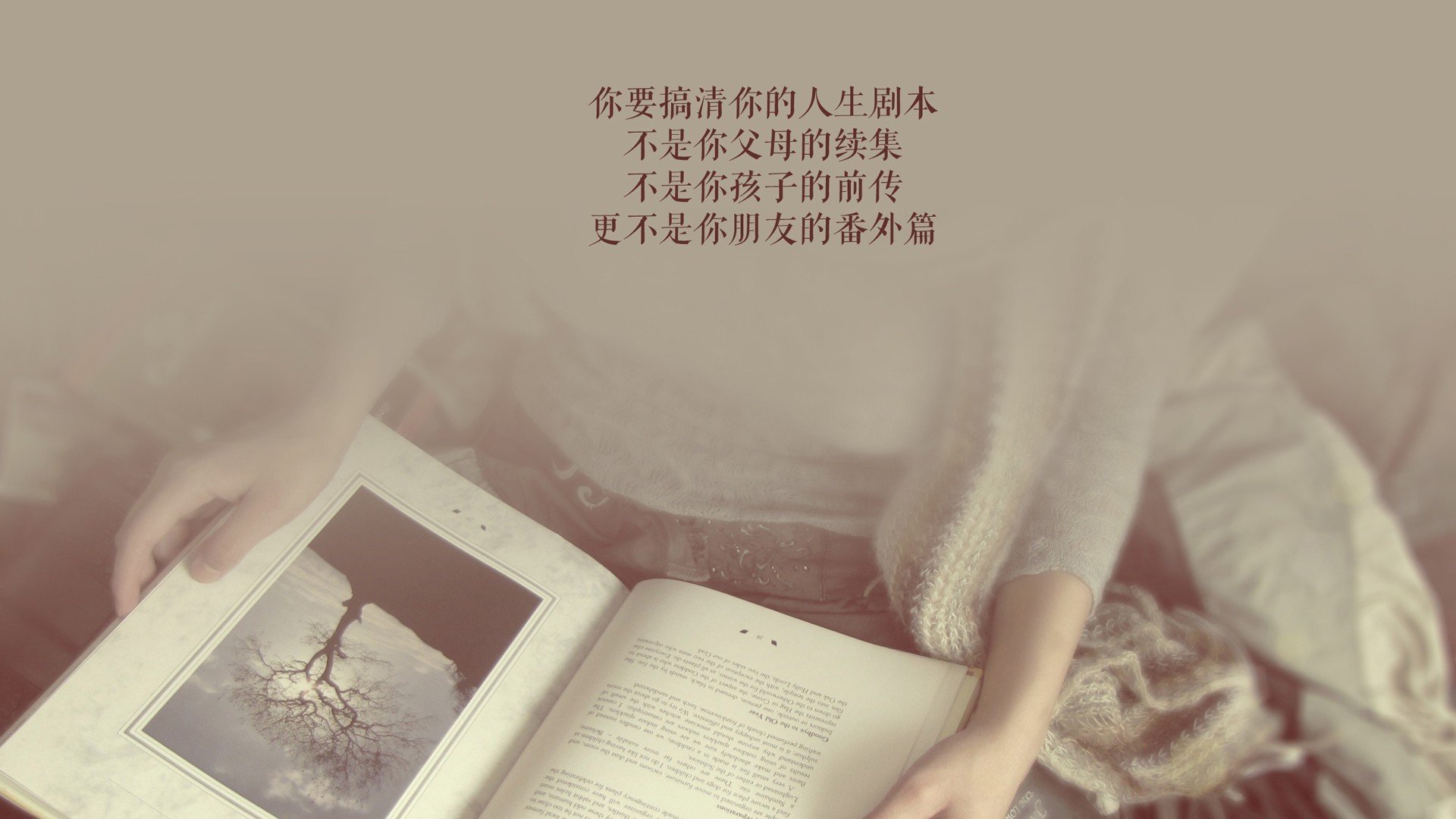 蓝白风暴下的致命反击,2026世界杯F组,乌拉圭碾压智利,萨卡一剑封喉